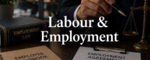 labour & employment