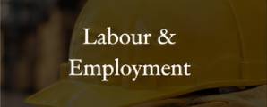 labour employment