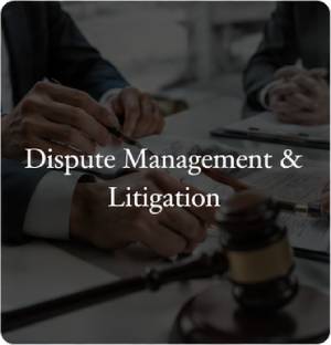 dispute management and litigation