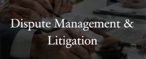 dispute management and litigation