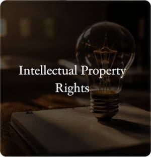 intellectual property rights