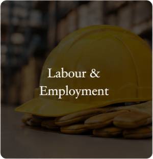 labour employment