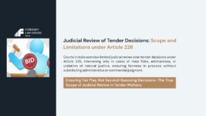 judicial review in tender decisions